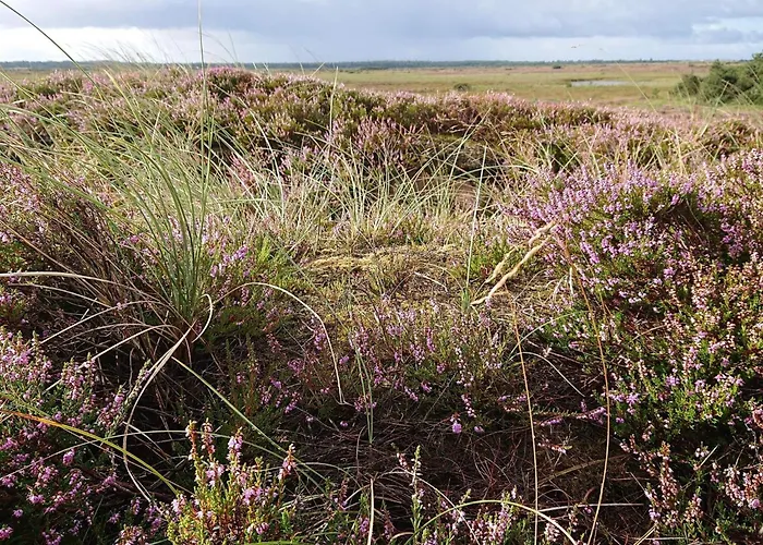 Сasa de vacaciones Secluded Retreat With Views - By Traum Vejers Strand
