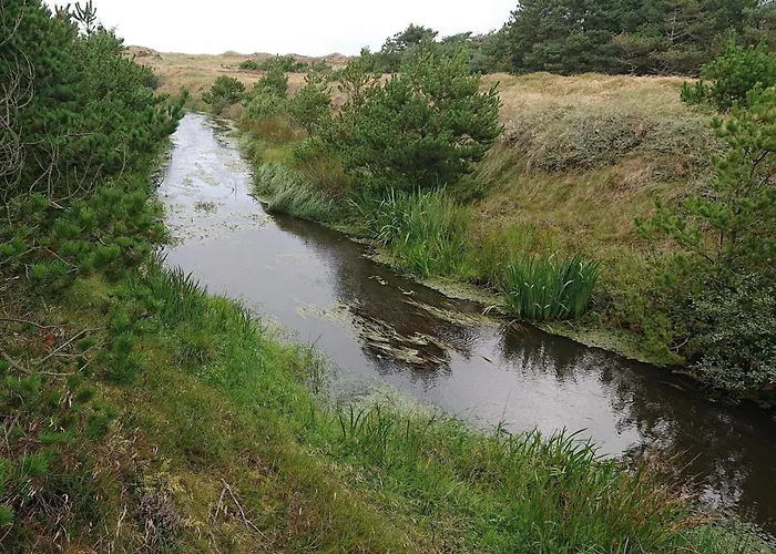 Secluded Retreat With Views - By Traum Vejers Strand