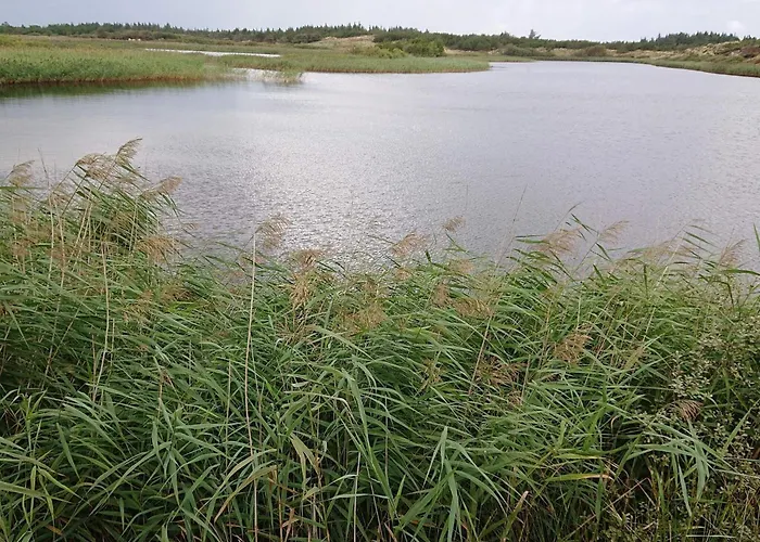 Secluded Retreat With Views - By Traum